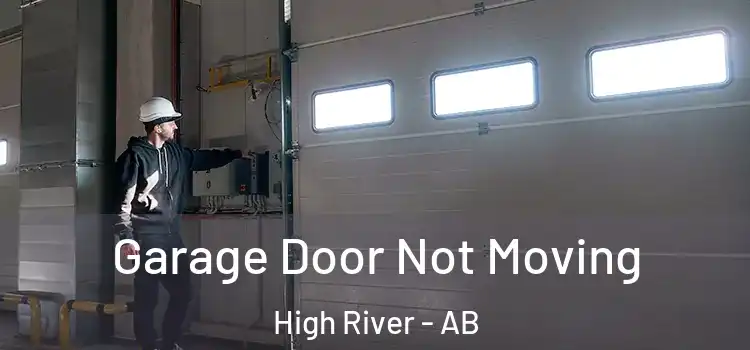  Garage Door Not Moving High River - AB