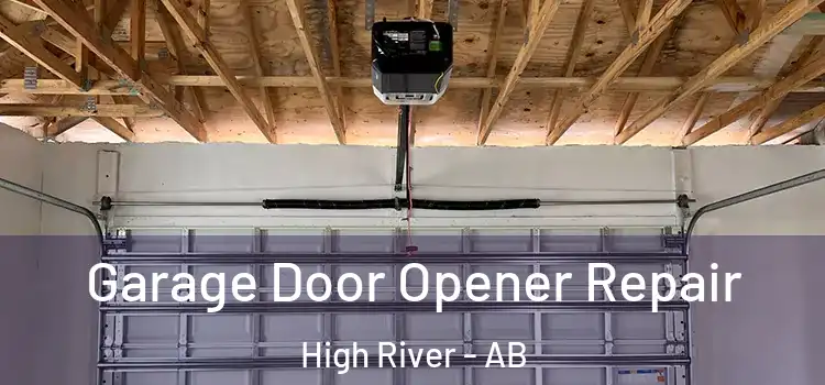  Garage Door Opener Repair High River - AB