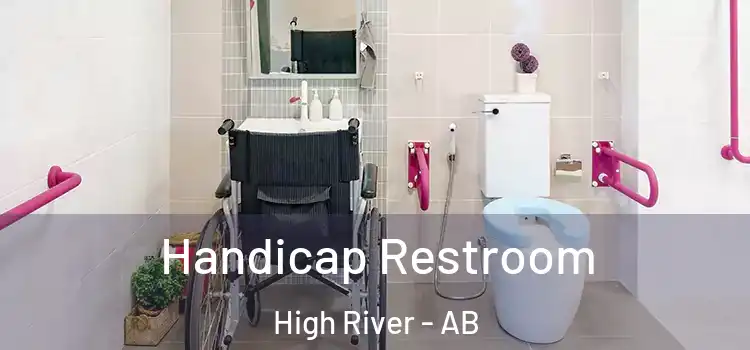 Handicap Restroom High River - AB
