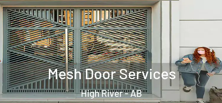 Mesh Door Services High River - AB
